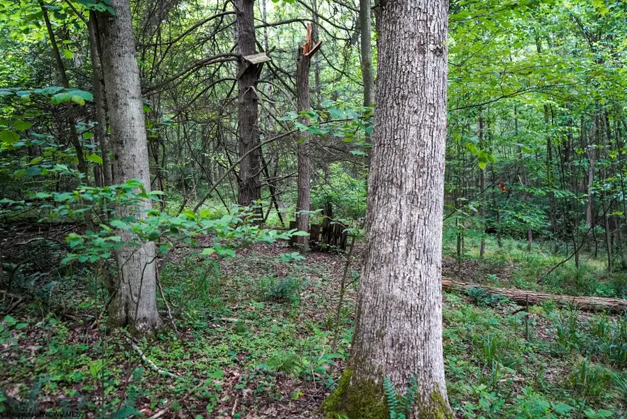 Lot 130 Laurel Loop, Bruceton Mills, WV 26525 - Image #2