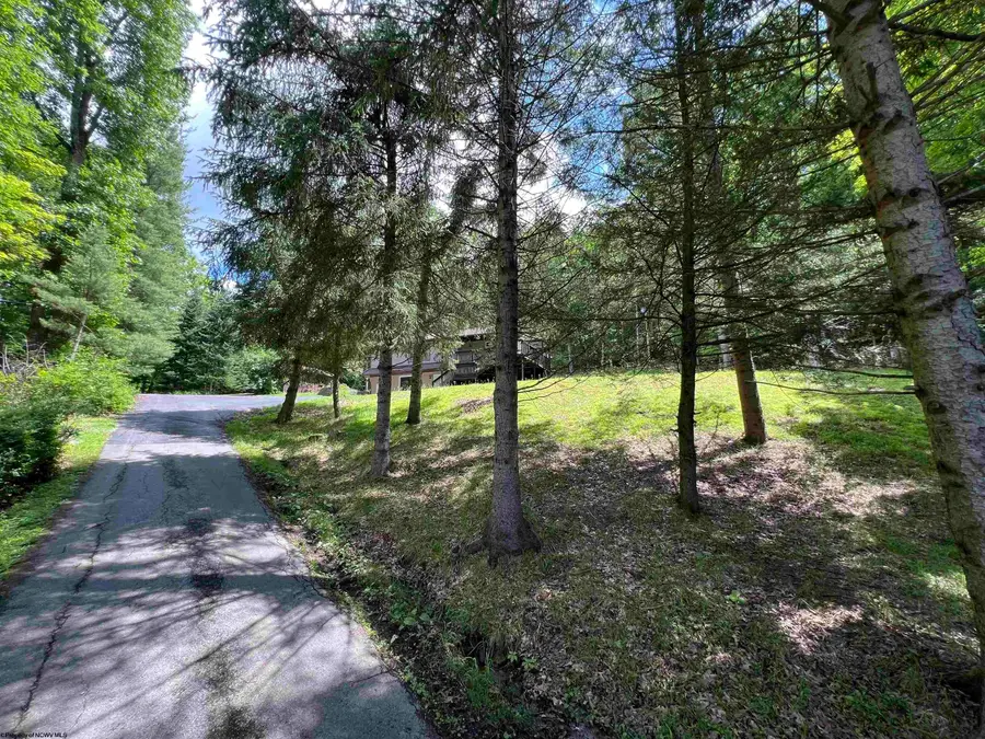 60 Saras Way, Beverly, WV 26253 - Image #2