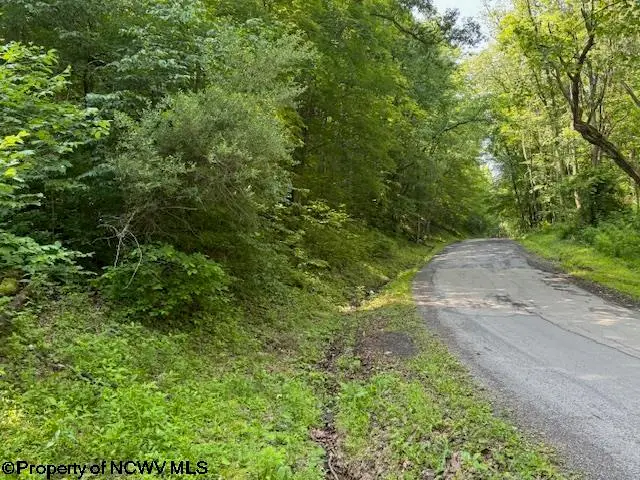TBD Iron Town Road, Independence, WV 26374 - Image #1
