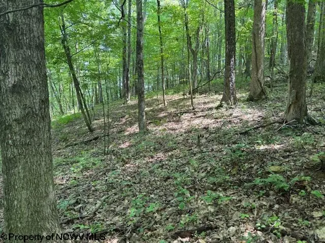 TBD Iron Town Road, Independence, WV 26374 - Image #3