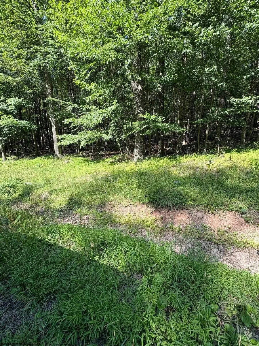 Lot 34 E Alpine Drive, Terra Alta, WV 26764 - Image #2