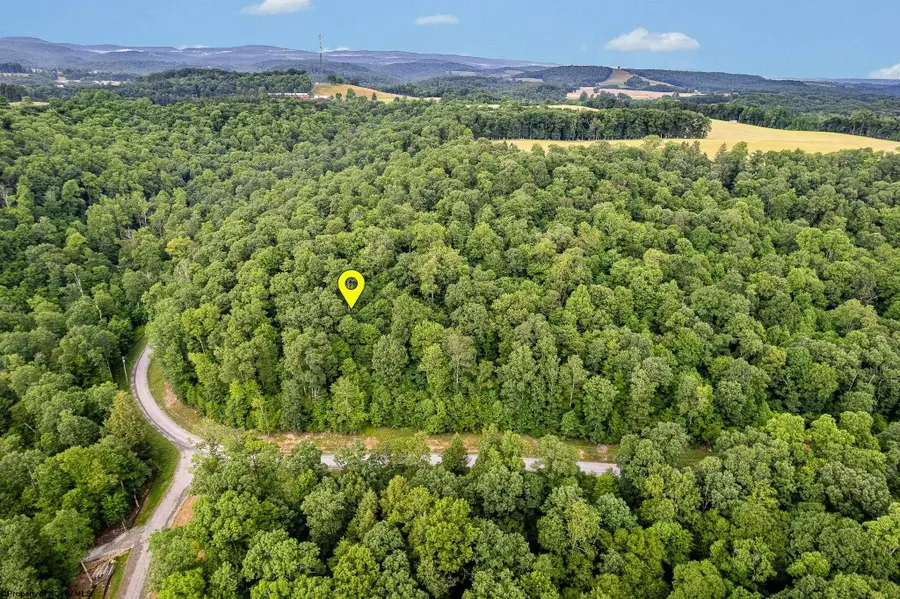 Lot 82 Whitewater Parkway, Bruceton Mills, WV 26525 - Image #3