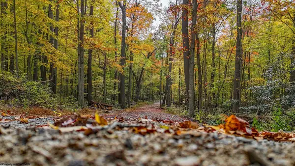 Lot 21 Snake Hill Road, Morgantown, WV 26508