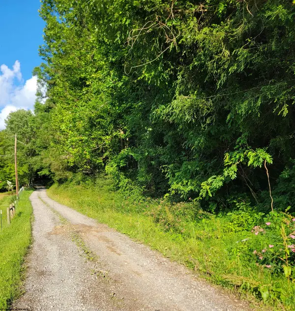 0 Criss Run Road, Philippi, WV 26416