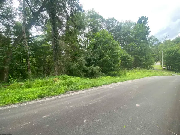 TBD Limestone Road, Parsons, WV 26287