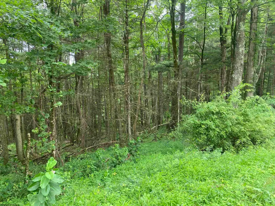 TBD Limestone Road, Parsons, WV 26287 - Image #2