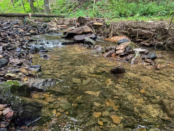 TBD Laurel Dale Road, New Creek, WV 26743