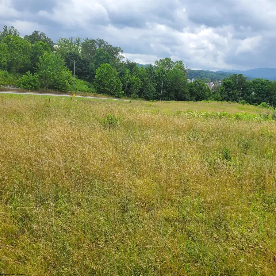 000 Plantation Drive, Elkins, WV 26241 - Image #3