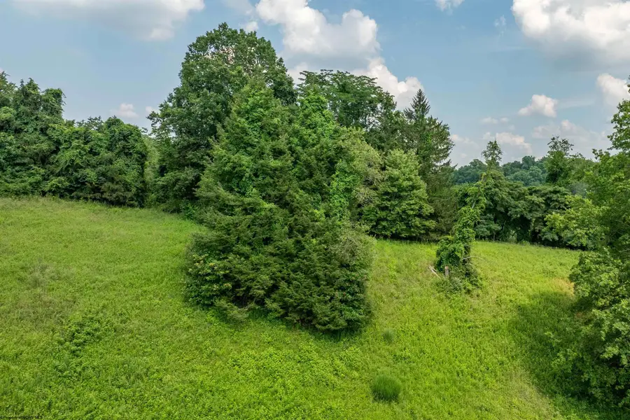 TBD Cleveland Avenue, Fairmont, WV 26554 - Image #2