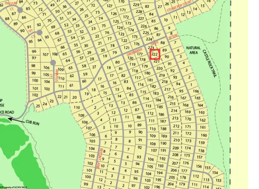 222 Woodbine Drive, Terra Alta, WV 26764 - Image #3