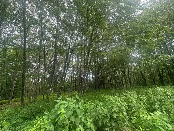 153 Windflower Drive, Terra Alta, WV 26764