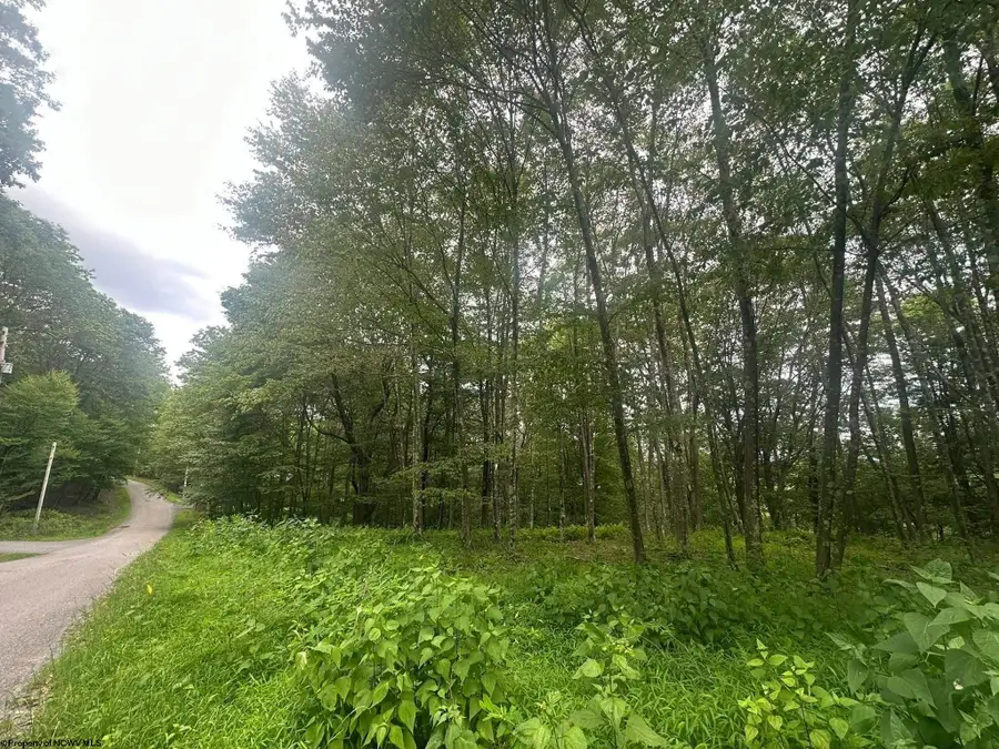 153 Windflower Drive, Terra Alta, WV 26764 - Image #2