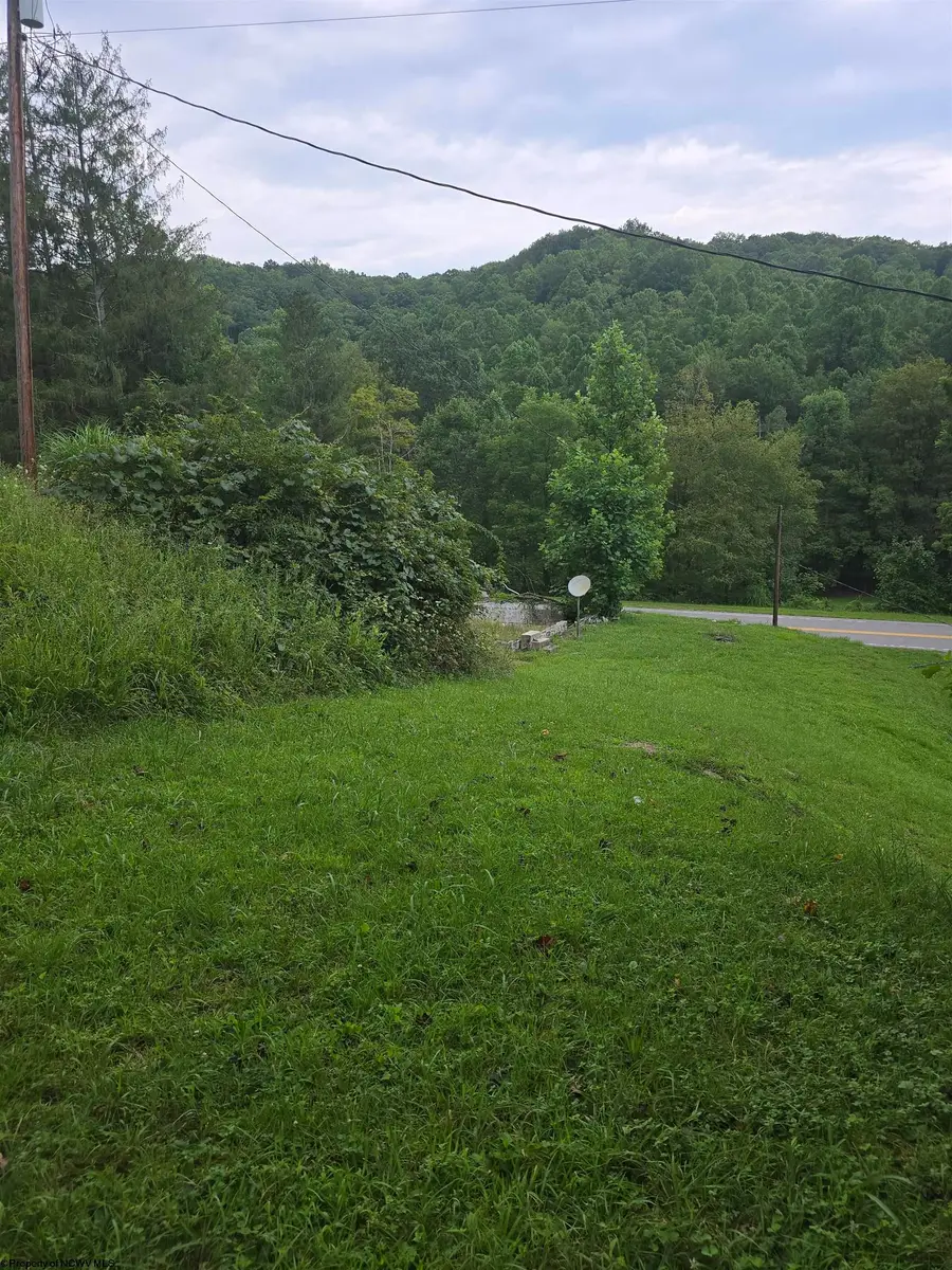 15090 Route 20 South Road, Rock Cave, WV 26234 - Image #3