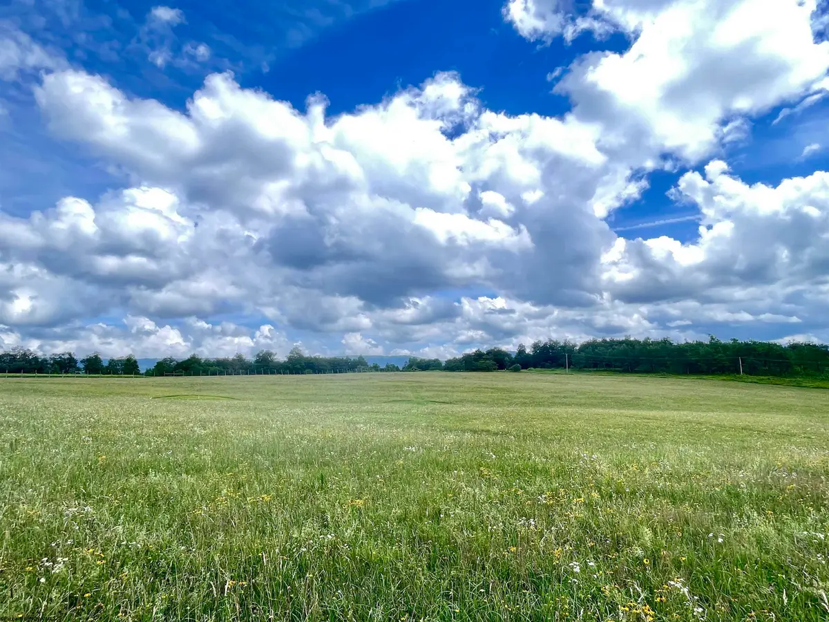 Tract I Mallow Lake Drive, Davis, WV 26260 - Image #1