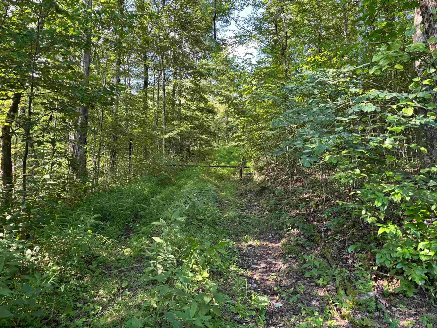 2789 Salt Lick Road, Montrose, WV 26283 - Image #2