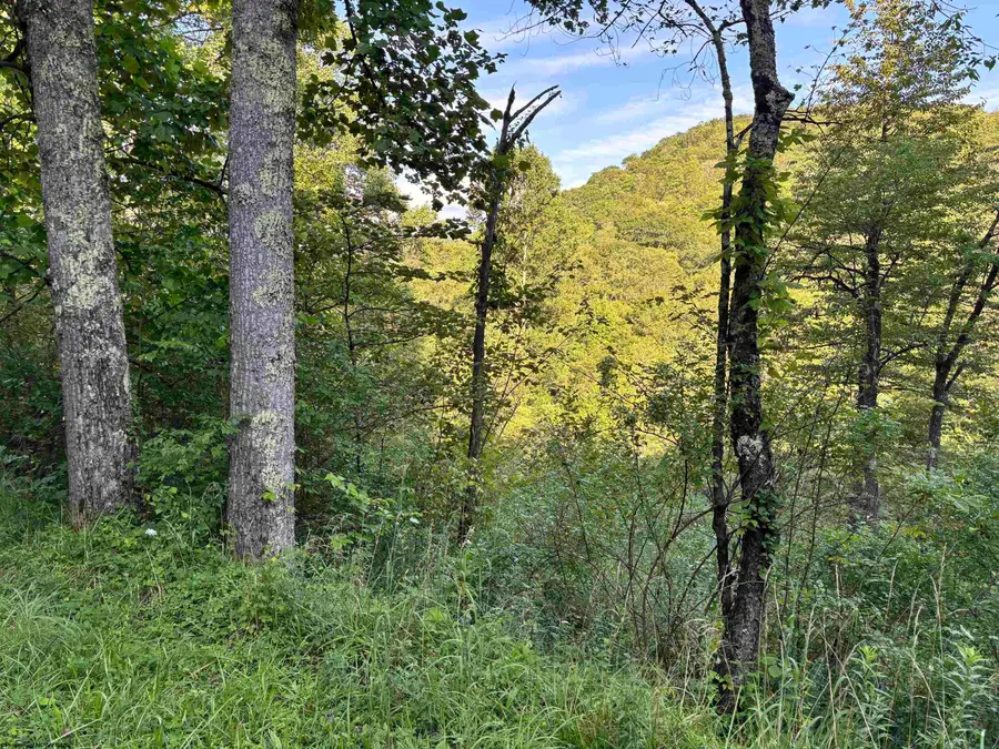 2789 Salt Lick Road, Montrose, WV 26283 - Image #3