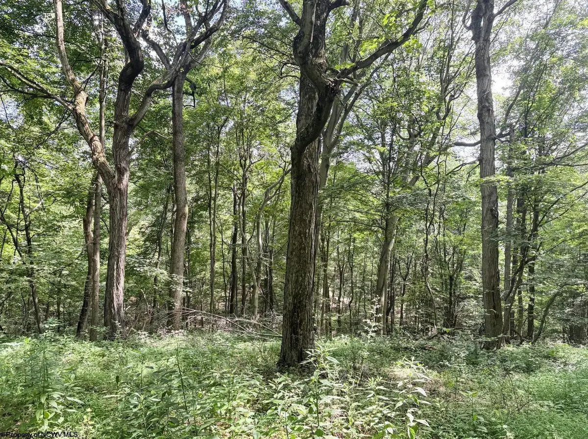 TBD Scenery Hill Road, Wellsburg, WV 26070-1842 - Image #1