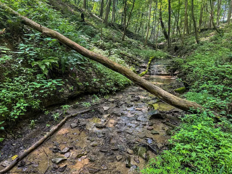 TBD Scenery Hill Road, Wellsburg, WV 26070-1842 - Image #3