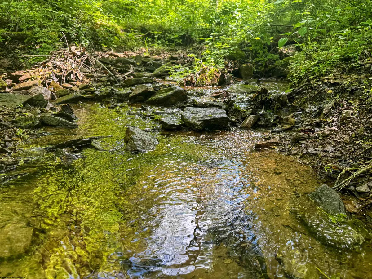 TBD Rush Run Road, Fairview, WV 26570 - Image #1