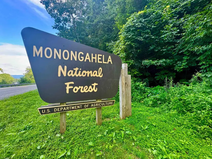 0 Route 72 (RR), Parsons, WV 26287 - Image #2