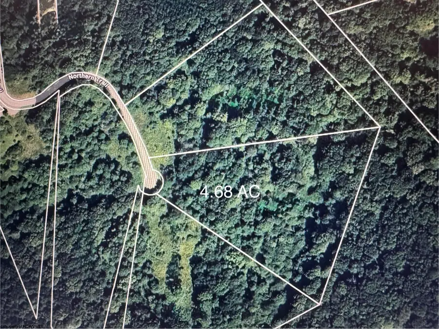 Lot 133 Sunset Mountain Village Drive, Slatyfork, WV 26291 - Image #2