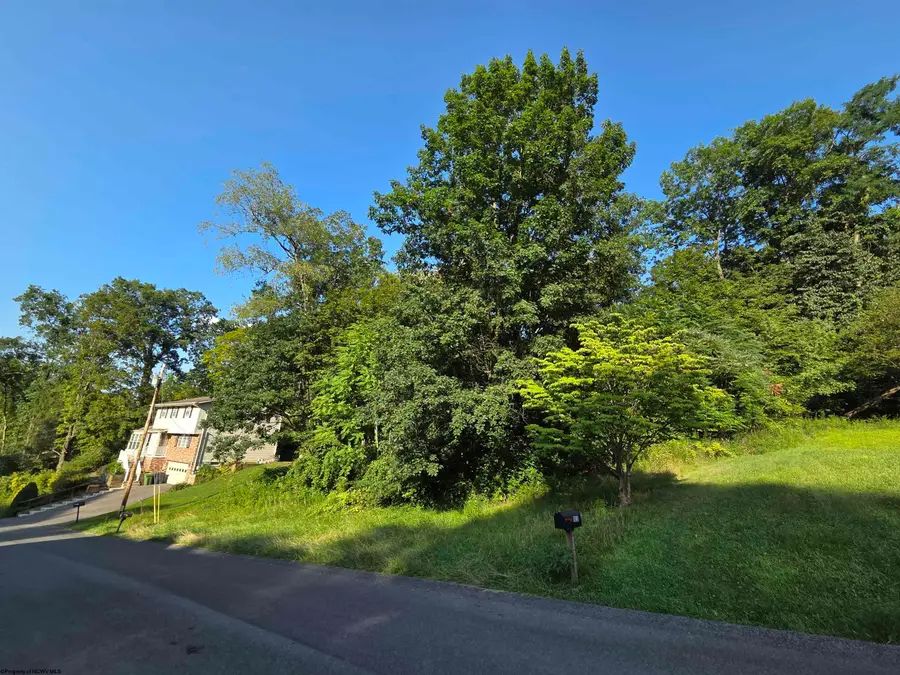 104 Forest Drive, Morgantown, WV 26505 - Image #2