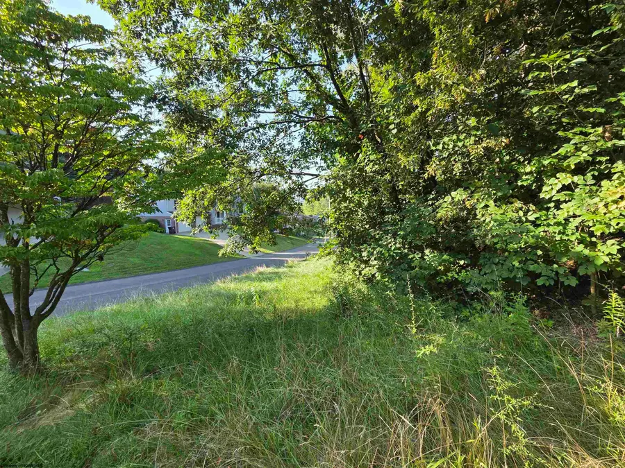 104 Forest Drive, Morgantown, WV 26505 - Image #3