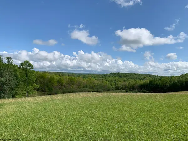 111 Briar Ridge Lane, Ellamore, WV 26267