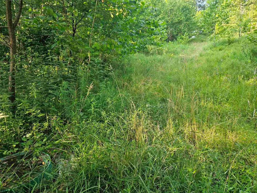 1 Westminster Drive, Morgantown, WV 26505 - Image #2