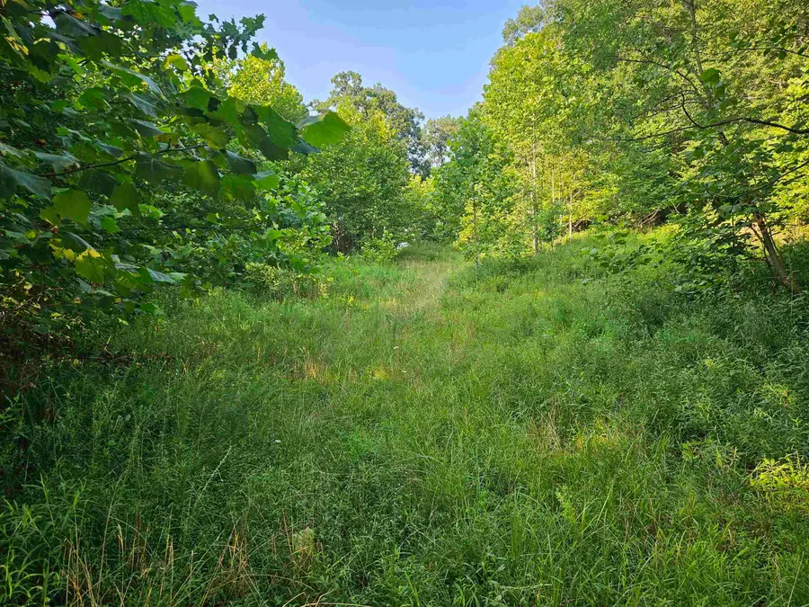 1 Westminster Drive, Morgantown, WV 26505 - Image #3