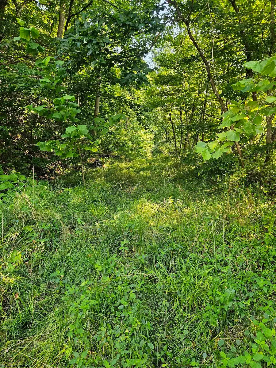 #2 Westminster Drive, Morgantown, WV 26505 - Image #2