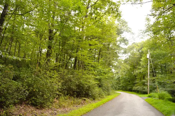 Lot 132 Dogwood Lane, Terra Alta, WV 26764