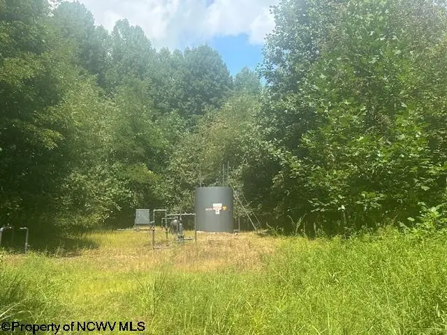 TBD Barbour County Highway, Belington, WV 26250 - Image #3