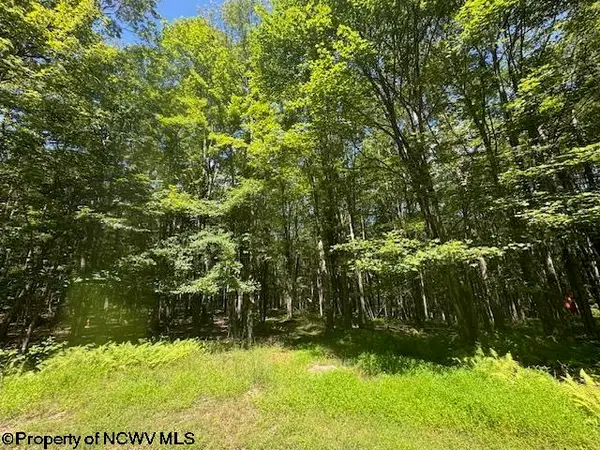 TBD N Branch Hollow, Bruceton Mills, WV 26525