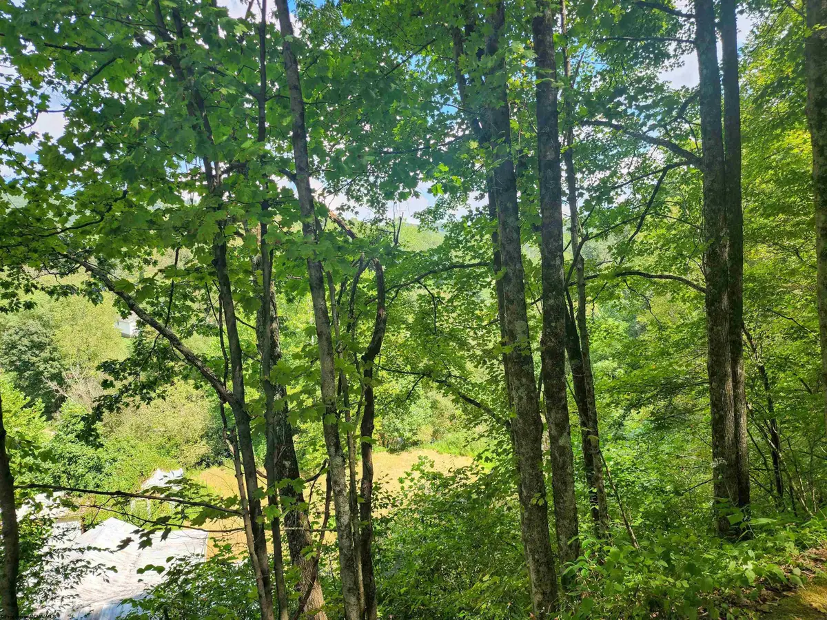 166 Brown Road, Wallace, WV 26448-8547 - Image #1