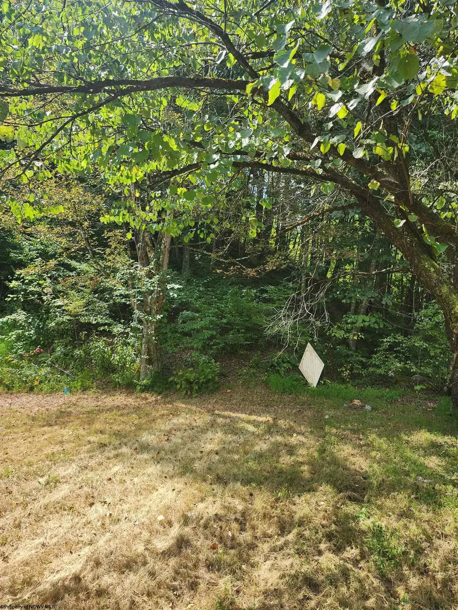 166 Brown Road, Wallace, WV 26448-8547 - Image #3