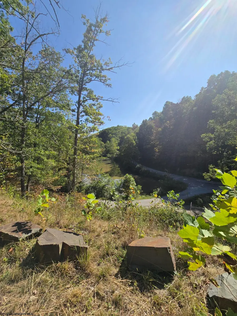 Lot 28 Woodland Drive, Beverly, WV 26253 - Image #3