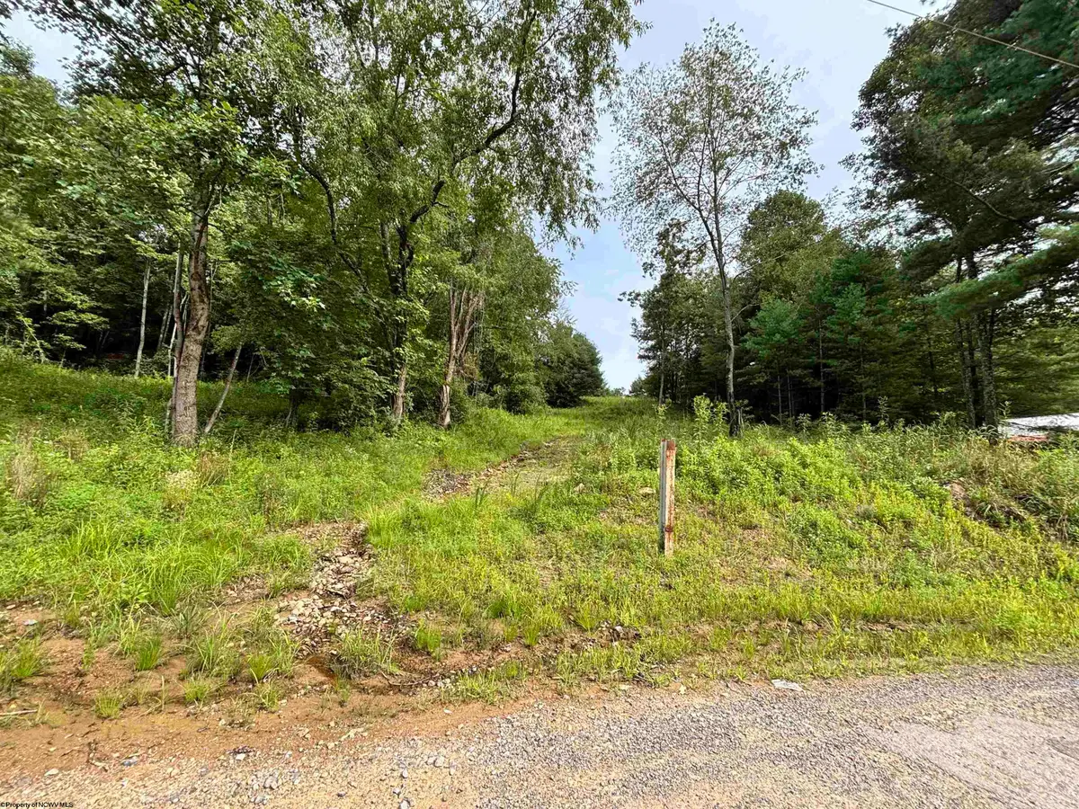 2843 Marquess Road, Tunnelton, WV 26444 - Image #1