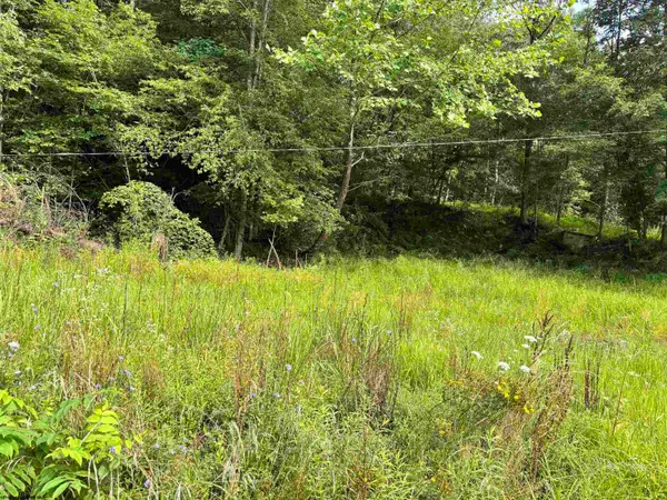 TBD Marquess Road, Tunnelton, WV 26444