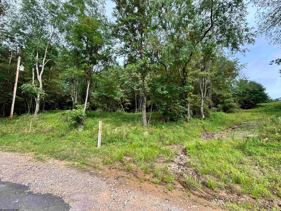 TBD Marquess Road, Tunnelton, WV 26444 - Image #2