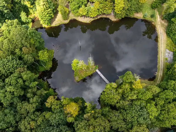 180 Thorpe Mountain Lane, Tallmansville, WV 26237