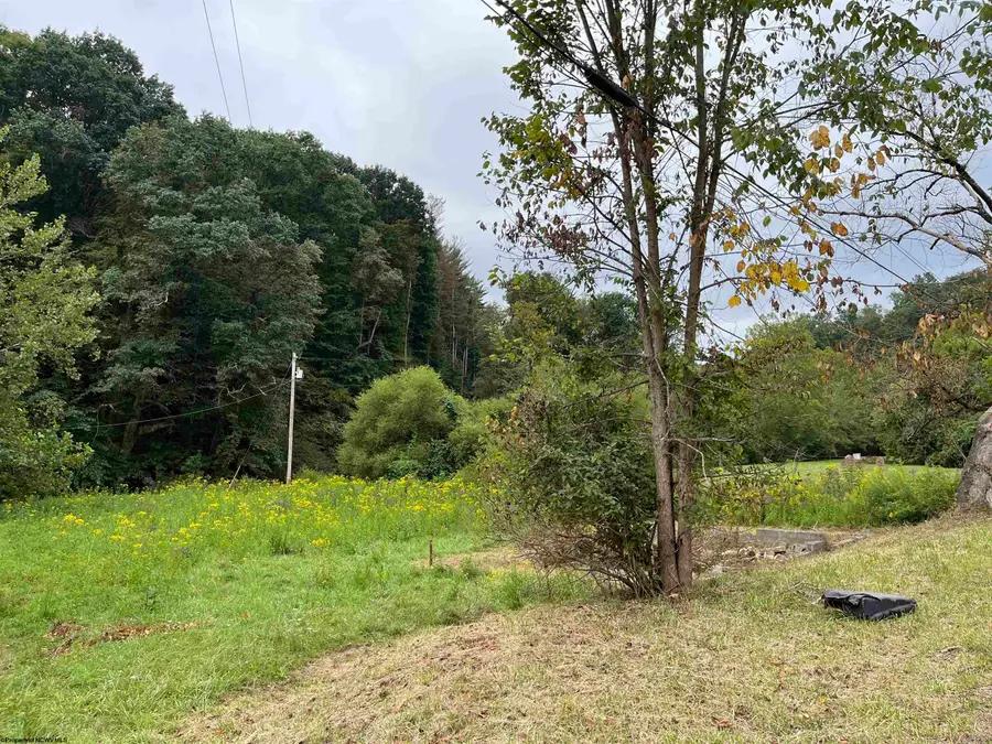 9738 Buckhannon Pike, Lost Creek, WV 26385 - Image #2