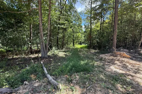 Lot 2 Brooklyn Way, Moatsville, WV 26405