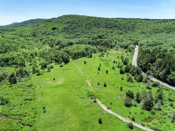 00 Mountain View Circle, Davis, WV 26260