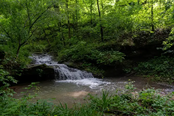 TBD Long Run Road, Worthington, WV 26591