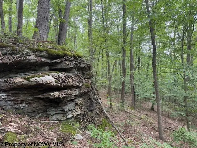 TBD Simpson Road, Belington, WV 26250-0000 - Image #1