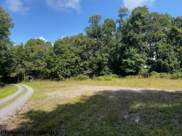 TBD Simpson Road, Belington, WV 26250-0000 - Image #2