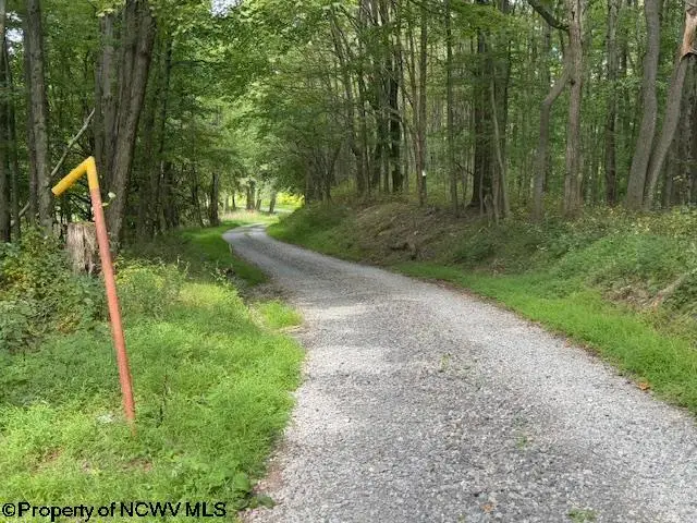 TBD Simpson Road, Belington, WV 26250-0000 - Image #3
