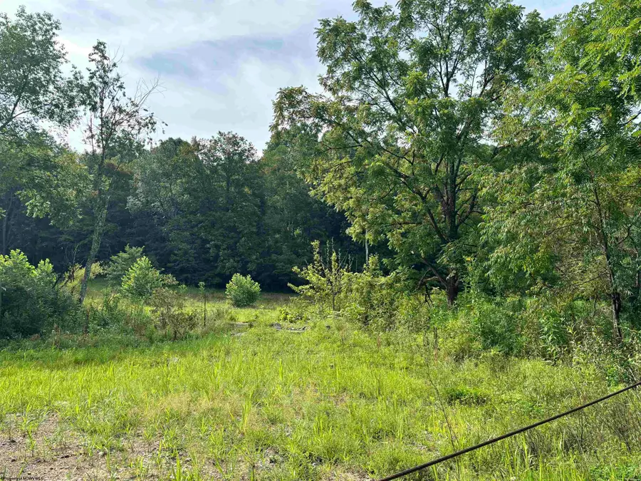 TBD B Marquess Road, Tunnelton, WV 26444 - Image #3
