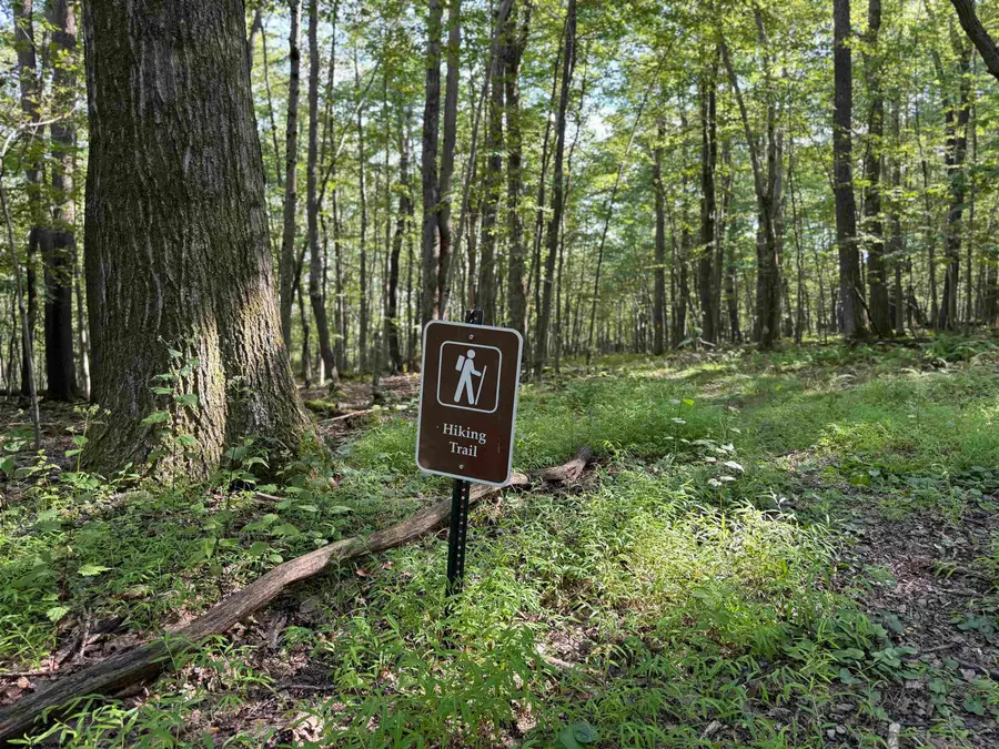 Lots 41 and 42 Day Lily Court, Terra Alta, WV 26764 - Image #2